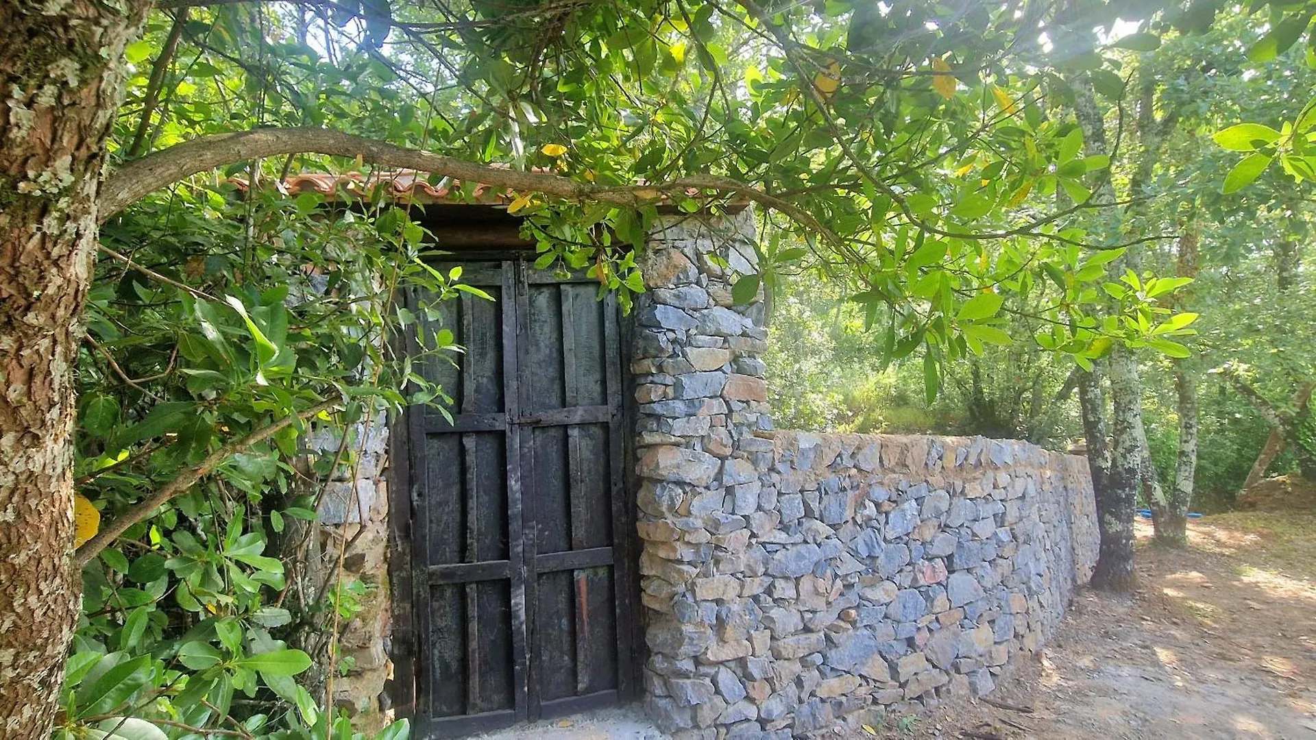 Huerto Fernandito Castano de Robledo Espanha